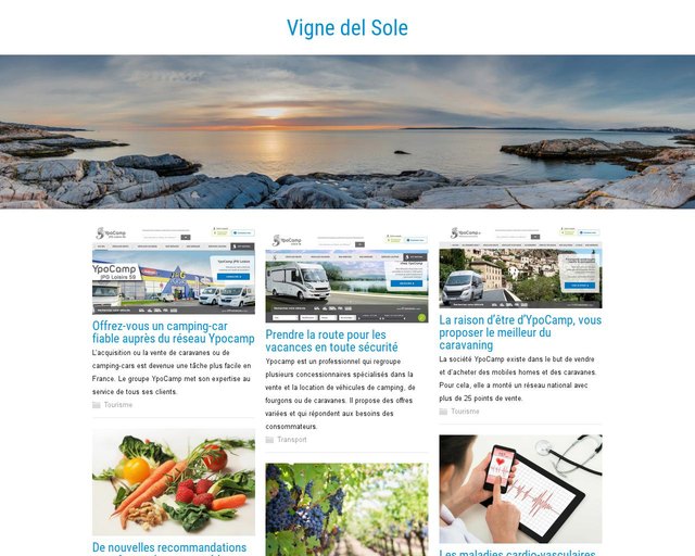 httpswww.vins_.orgthumbwt5c90afa29415c-thumb_large